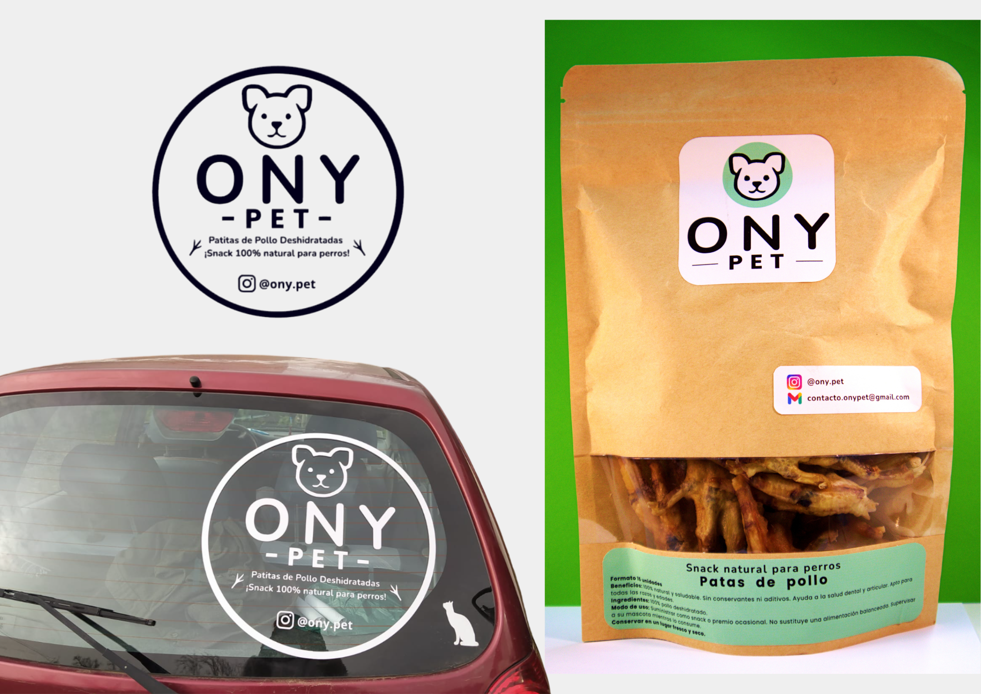 Conjunto personalizado para ony pet